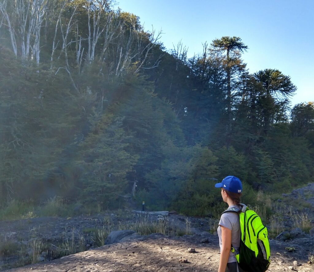 Jimena Novaro standing alongside a creek at the edge of an araucaria tree forest in northern Patagonia.